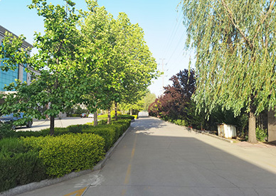 企业风采