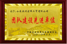 团队建设先进单位